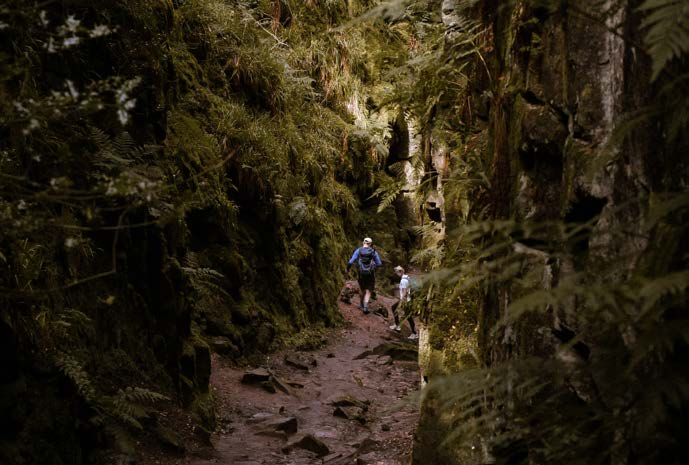 Walks in Macclesfield Forest
